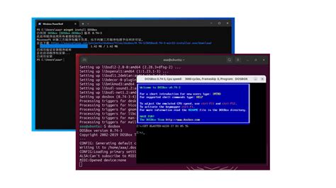 DOSBox Setup 的图像结果