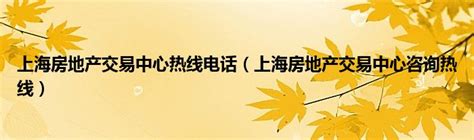 上海房产交易中心服务热线:新政以网签或新盘认筹时间为准_住房