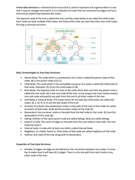 Data Structure Tree Leaf to Root 的图像结果