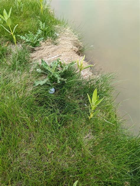 Cleared the water, guys. : r/golf