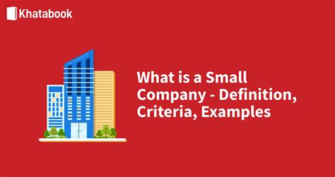 Definition of Small Company - What is Small Company Explained With Examples