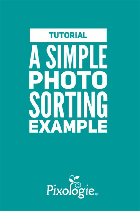 Image result for Sorting Example Picture