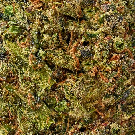 Rocket Fuel Strain | THCa Flower | Mood