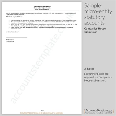 Micro Entity Balance Sheet Guide 的图像结果