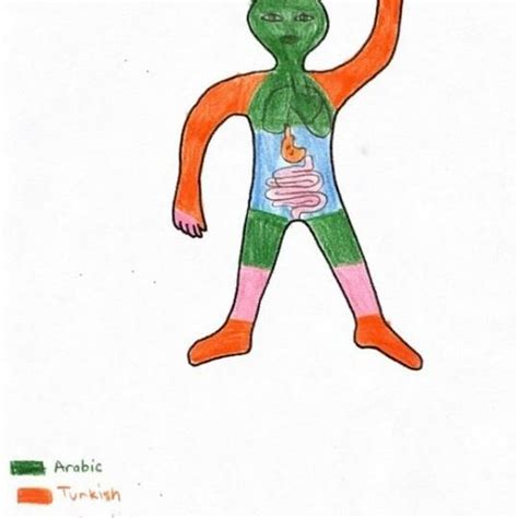 Image result for My Language Portrait