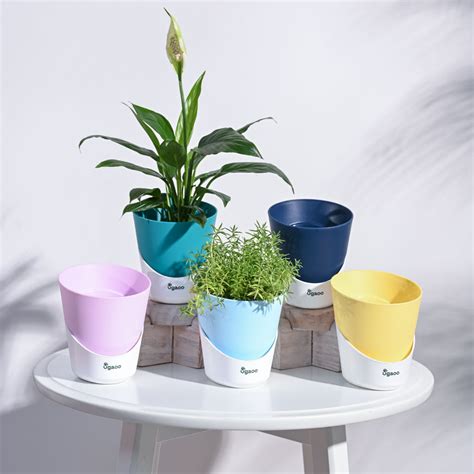 Atlantis Self Watering Planter - 4 Inch (Set of 5) – Ugaoo