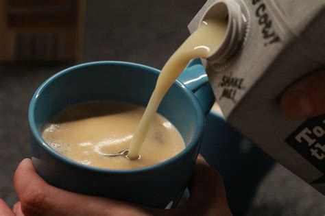 Can You Freeze Oat Milk? Should You? What To Know | MomsWhoSave.com