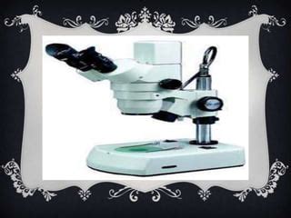 Microscope Example Slide 的图像结果