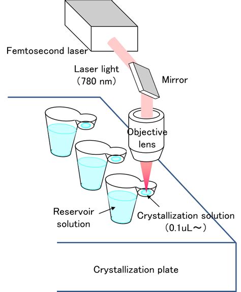 Image result for Protein Crystallization Image Magnification
