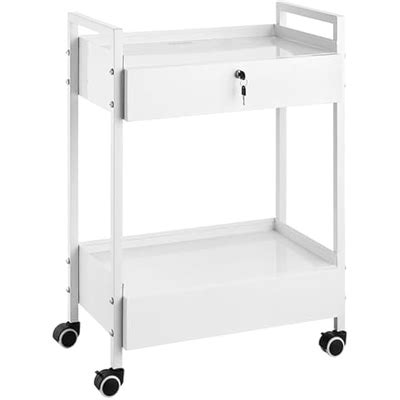 VEVOR Lab Cart, 2 Tiers Stainless Steel Utility India | Ubuy