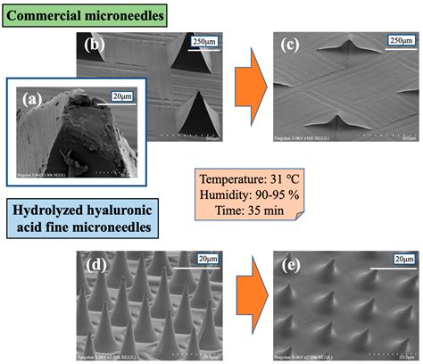 Fabrication of High-Resolution Fine Microneedles Derived from ...