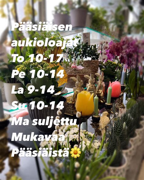 Image result for Vector Corpse Bride Drawing