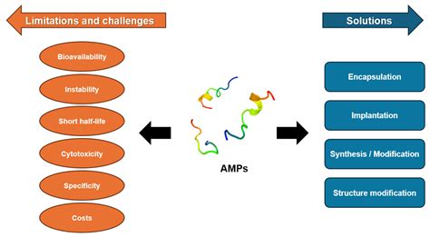 Antimicrobial Peptides and Their Biomedical Applications: A Review
