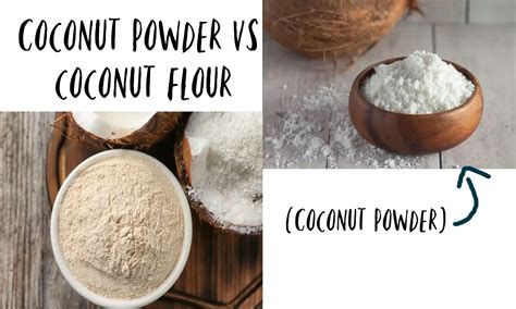 Coconut Powder vs Coconut Flour: Key Differences - The Coconut Mama
