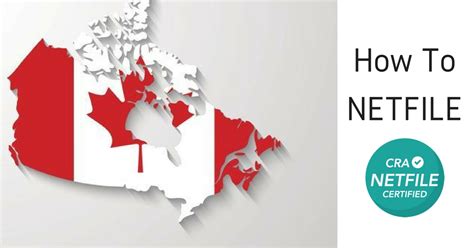 Image result for NETFILE Tax Return