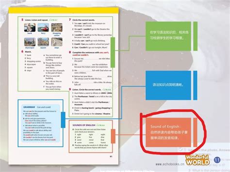 DK自然史科普知识英文绘本The Natural History Book 电子版PDF 百度云网盘下载 | 咿呀启蒙yiyaqimeng.com