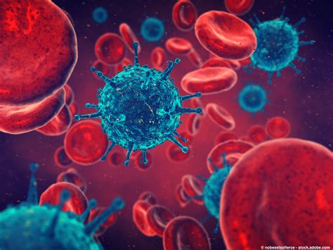 Stanford Immunology Home Page | Immunology | Stanford Medicine