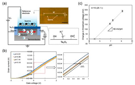 Sperm-Cultured Gate Ion-Sensitive Field-Effect Transistor for Non ...