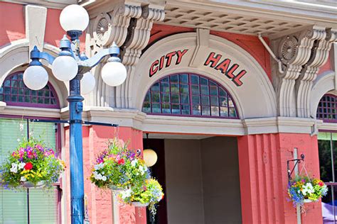 Image result for Local Government