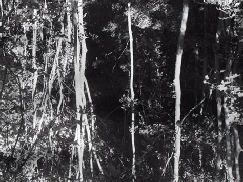 Mahir Jahmal. Courtesy of OSME Gallery | OSME Gallery