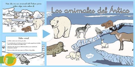 Presentación: Los animales del Ártico