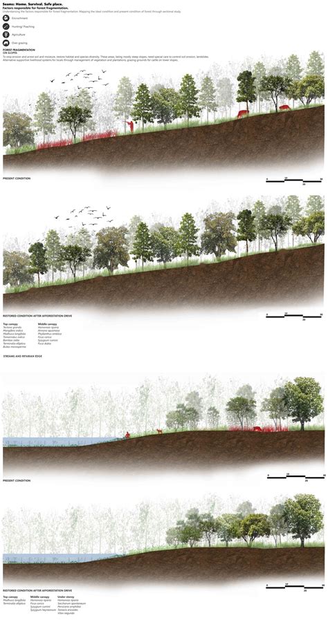 Vanrai- Forfending forest | CEPT - Portfolio