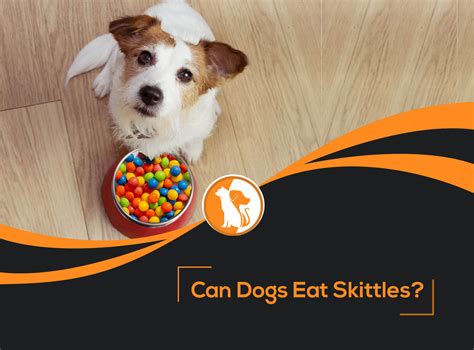 Can Dogs Eat Skittles?