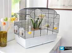 gabbie usate how to prepare your bird cage for brooding season gabbie usate how to prepare your bird cage for brooding season