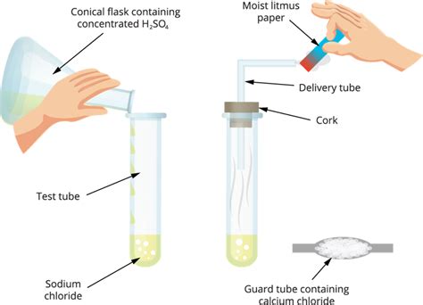 Chapter Plan - Acids, bases and salts II — lesson. Chemistry CBSE Live ...
