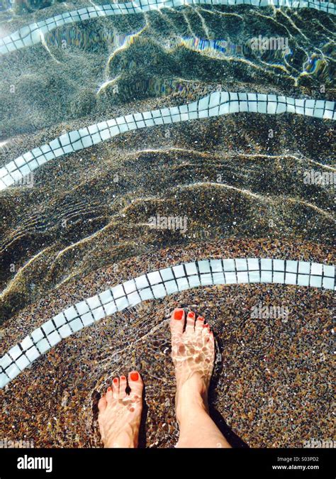 Pool Step Mon 的图像结果