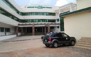 Kwesi Agyemang Busia is new DVLA CEO