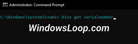Find Windows Serial Number 的图像结果