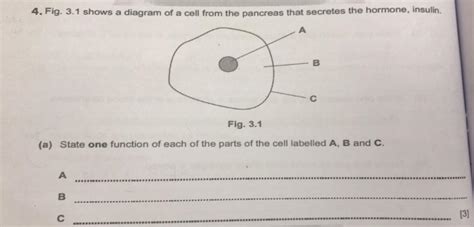 (a) State one function of each of the parts of the cell labelled A, B ...