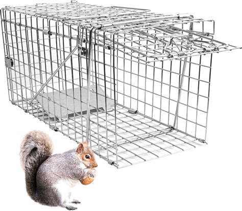 Amazon.com: EPESTOEC 17.3" Heavy Duty Squirrel Trap, Folding Live Small ...