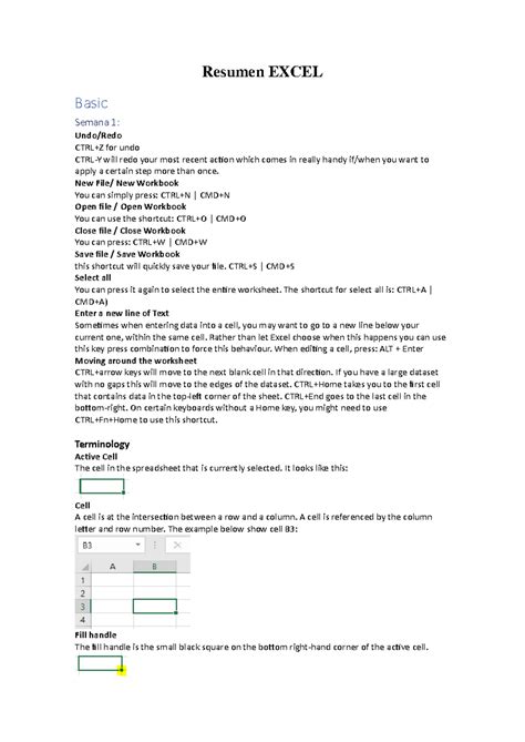 Summary - el examen final es en español!!! - Resumen EXCEL Basic Semana ...