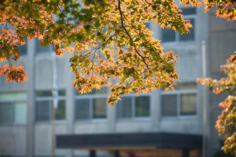 Cornelius Vanderbilt Scholarship » Mongo Scholar