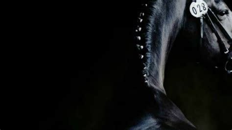 Equis Song 的图像结果