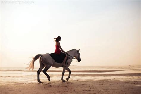 女人梦见骑马是什么意思预兆 - 原版周公解梦大全