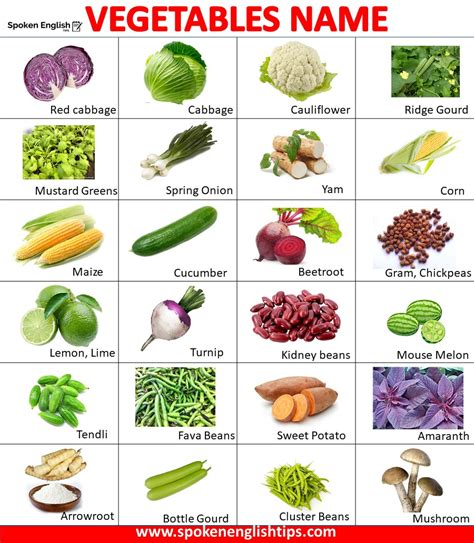 Vegetables Names That Start With B at Betty Dean blog