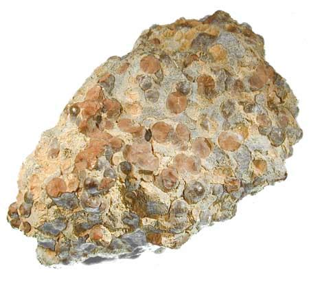 Bauxite buy in Hyderabad M.Corp