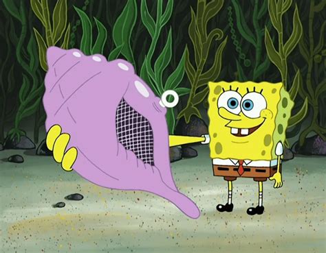 Image result for Spongebob Conch Shell