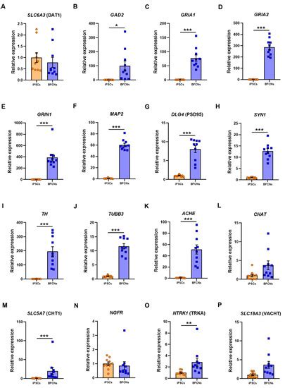 A Simple Differentiation Protocol for Generation of Induced Pluripotent ...