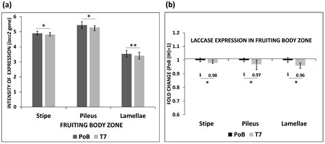 Silencing of the Laccase (lacc2) Gene from Pleurotus ostreatus Causes ...