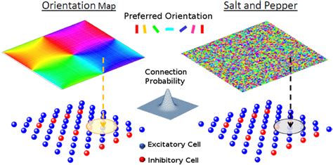 Image result for Layer Network Model