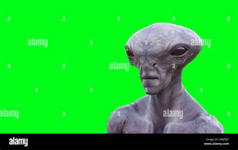 Image result for Alien Building Greenscreen