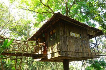 Amazing 1 Night 2 Days Munnar Trip Package | munnar Trip Package for 1 ...