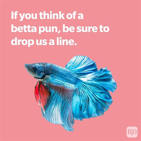 153 Fish Puns and Jokes That Will Split Your Gills | Reader's Digest