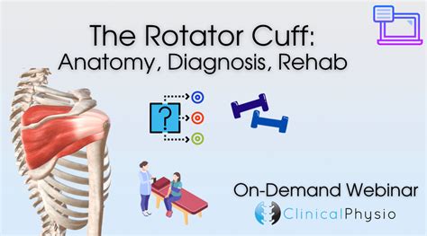Image result for Left Rotator Cuff