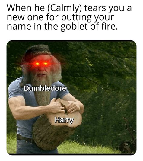 Dumbledore asked calmly : r/meme