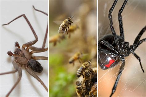 Spirit Halloween Officially Open in Wichita Falls, Texas